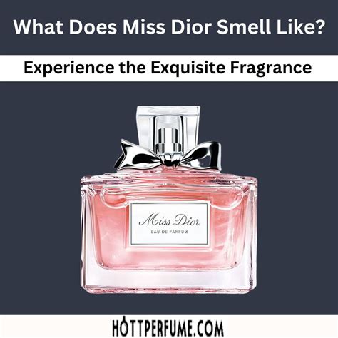 misdior|what does miss dior smell like.